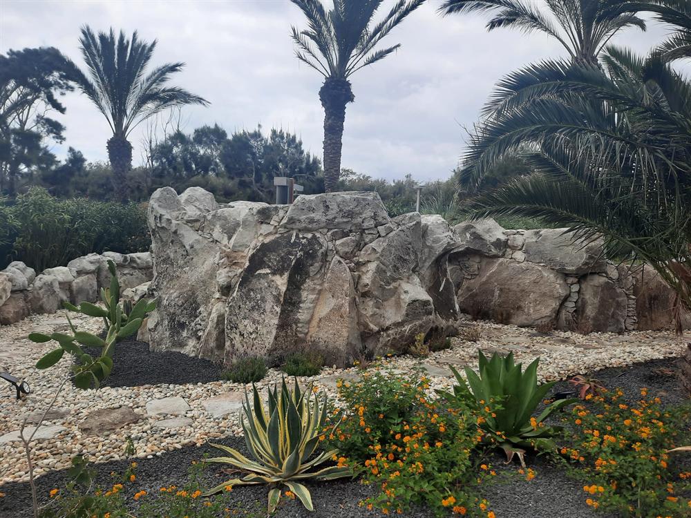 Jardim com rochas e plantas ornamentais
