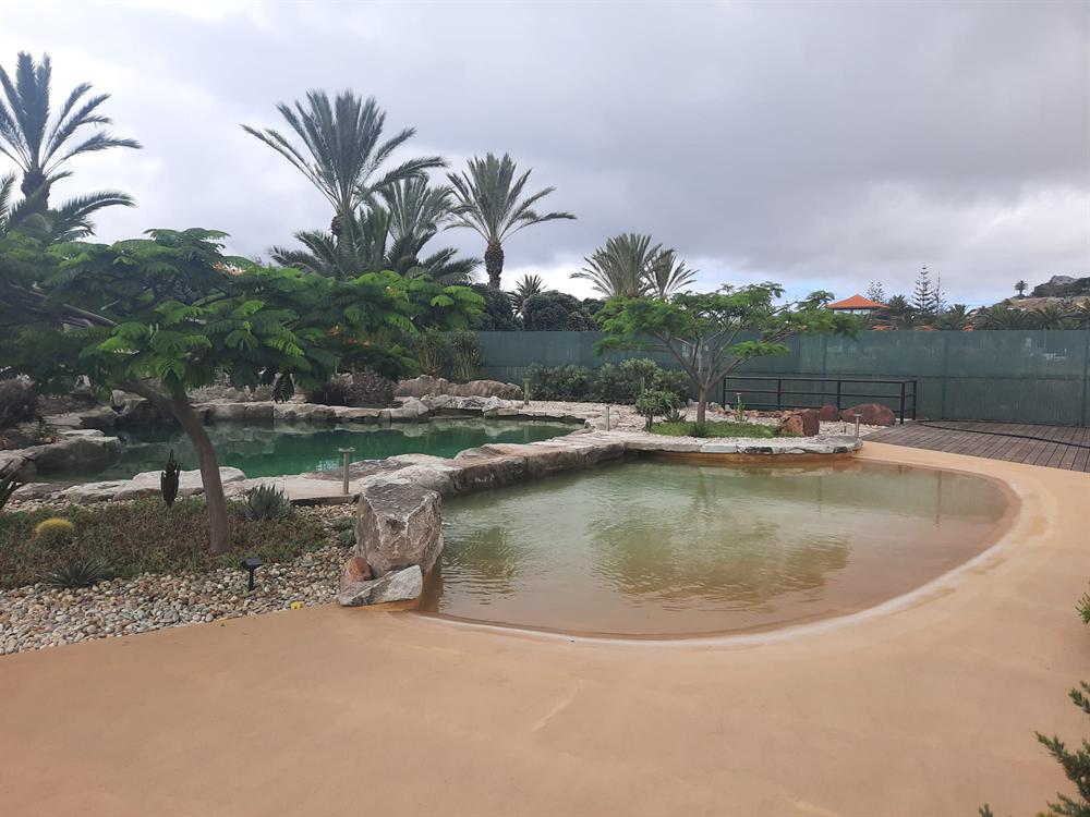 Espaço exterior com água e vegetação
